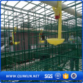 Minuman 120 Birds Poultry Cage Chicken Farm