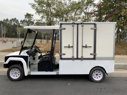 Carryall Electric Utility Vehicle