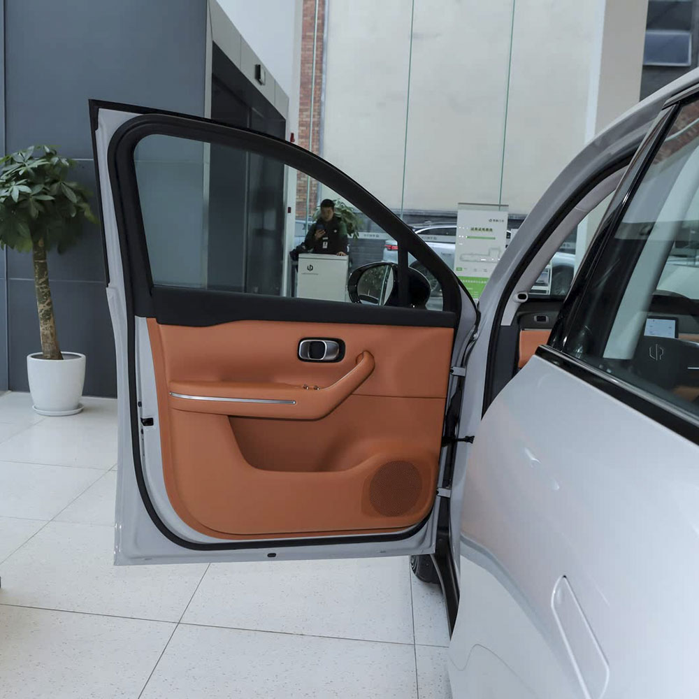 Extended-Range Edition 210 Smart Used Car