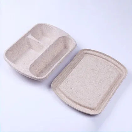 Disposable Molded Pulp Packaging Box Food Lunch Box