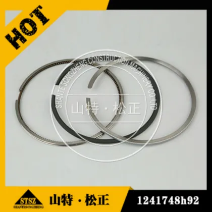 SET PISTON RING 1241748H92