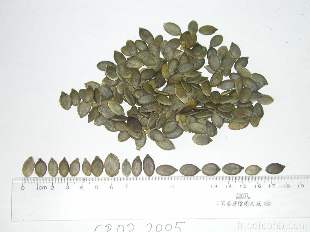 pépins de semences de pépins de grade AA