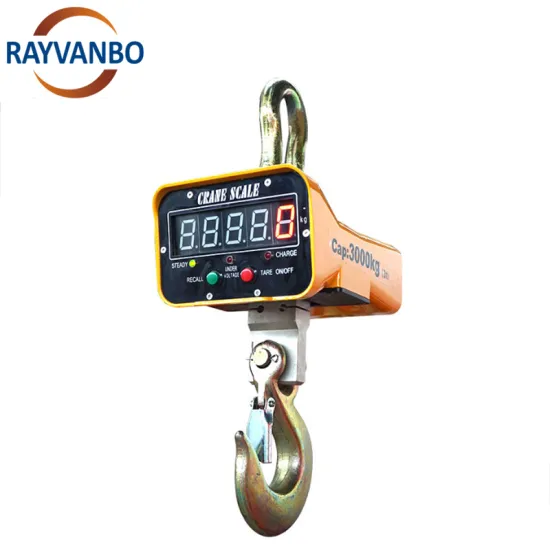 High Accuracy Digital Crane Scale with Wireless Remote Control: 1000kg to 3000kg Capacity
