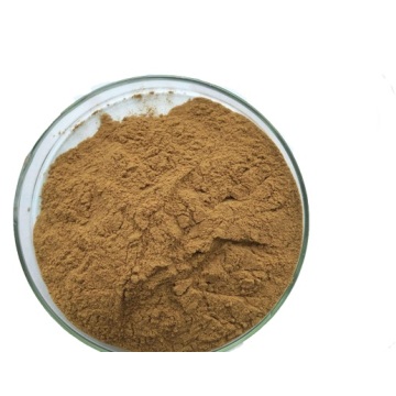 Buy online Eucommia Leaves Extract factory