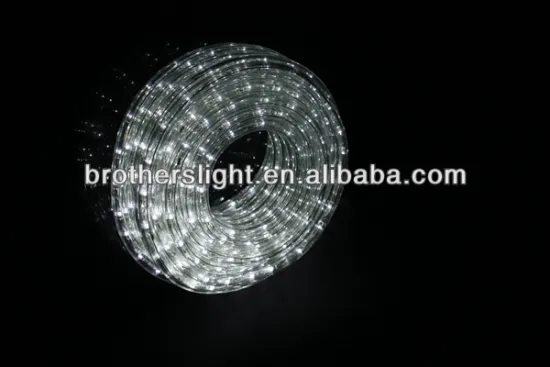 Fashion Design and Good Price 2 Wires 30LED Rope light