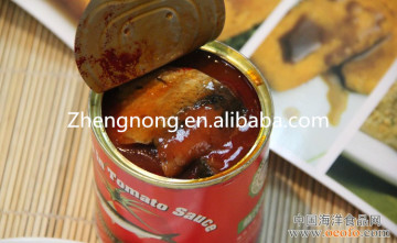 Best Canned Sardines Brands in Tomato Sauce