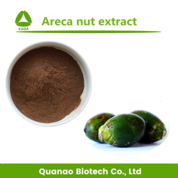 Areca Catechu Extract Arecoline Betel Nut Extract 10:1