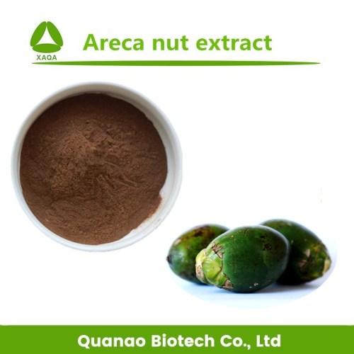 Areca Catechu Extract Arecoline Betelmoer Extract 10: 1