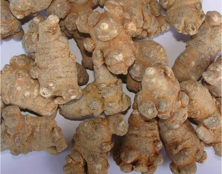 Notoginseng Extract