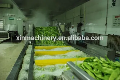 Automatic Fruit Vegetable Washing Machine; Washing Machine for fruit and vegetable
