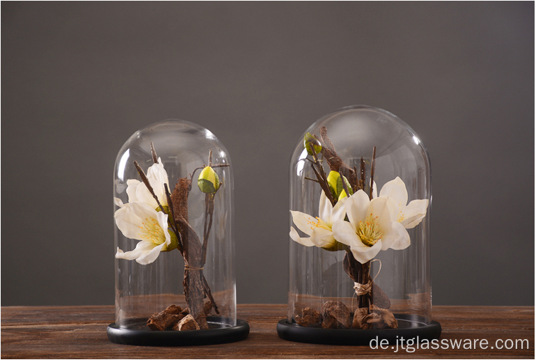 Großhandel Holz Cloche Glocke Glas Blumen Glaskuppel Set