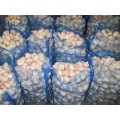 2020 Fresh Cold Storage Normal Garlic