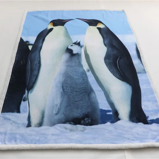 Wholesale 100% polyester Custom Digital Print Sherpa Fleece Blanket for winter blankets 2 ply