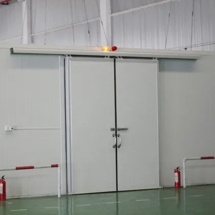 Automatic Cold Room Sliding Doors