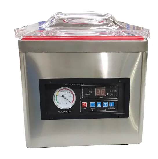 Professional Single Chamber Electric Vacuum Food Sealer Packaging Machine