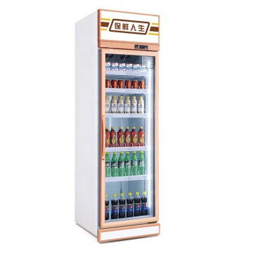 OEM Single Door Commercial Glass Display Coolers Upright Fridge For Sale