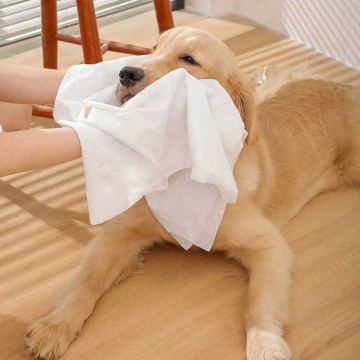 Biodegradable Pet Towels for Bath Cleanliness: Non-Woven Compressed Towels for Cats and Dogs