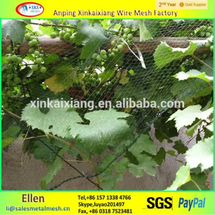 Anping plastic bird protection net,anti bird protection net