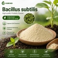 Bacillus subtilis مسحوق بروبيوتيك للزراعة والأعلاف وتربية الأحياء المائية