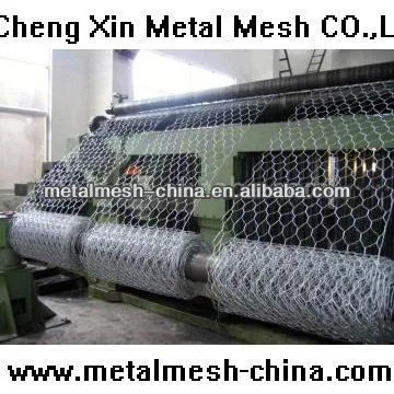 Anping chengxin Hexagonal Mesh in China/plant protection hexagonal wire mesh