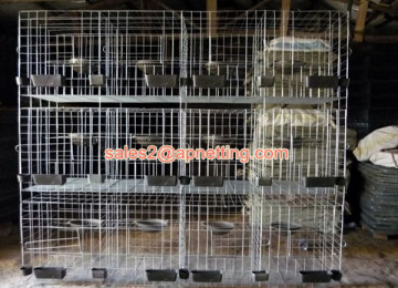 3 layer 4 door breeding pigeon cages