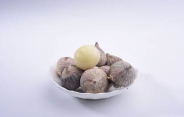 The best export grade  fresh solo garlic