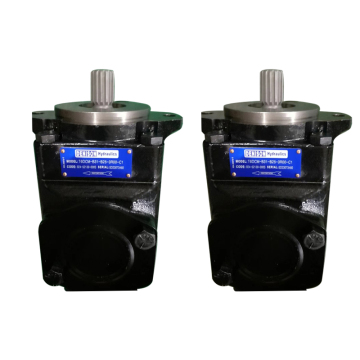 Parker Denison Thủy lực Double Vane Bơm T6CCM-B31 và T6DCM-B14