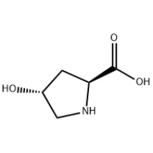 L-hidroxiprolina CAS51-35-4