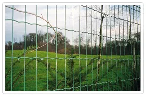 Euro Welded Fence