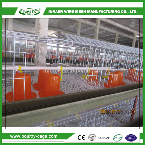 Agricultural Equipment 4 tier cage for poultry