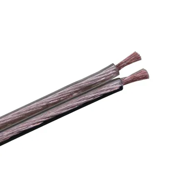 Transparent Dual Speaker Cable 