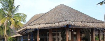 Ireland Synthetic plastic thatch roof with best price