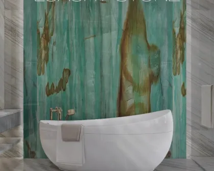 High Quality Borealis Quartzite for Walls and Countertops