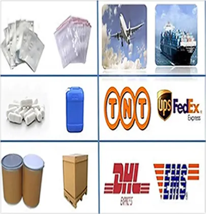 Alpha-GPC Powder Alpha GPC 50% 98% 99%