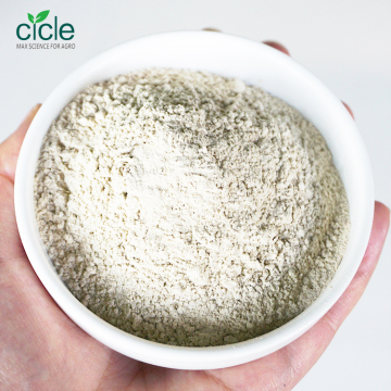 High Potency BTA Bacillus thuringiensis aizawai WP