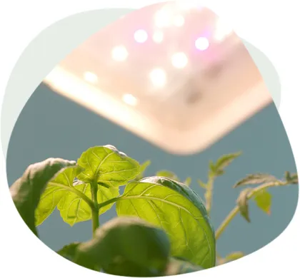 Why Choose HPWINNER Smart