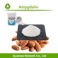 amygdalin 98 ٪ بذور المشمش المريرة استخراج مسحوق VB17