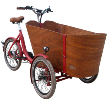 20 Inch Front Wheel, 24 Inch Rear Wheel Electric Tricycle: A Family-Friendly Cargo Bike with Swing Option