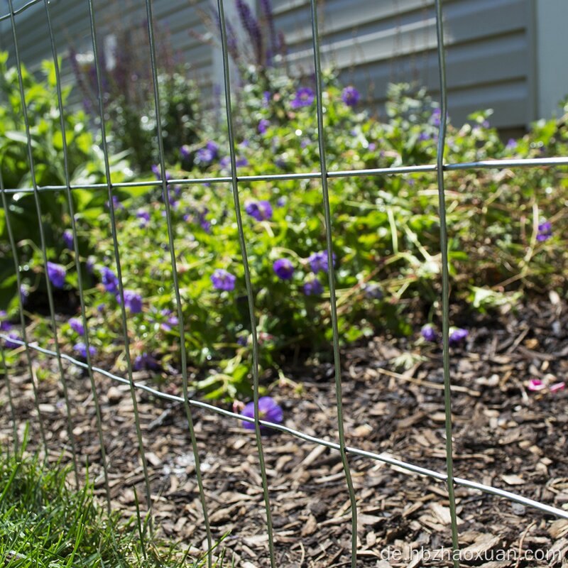 Selbstproduzierende mit niedrigem Preis, verzinktes geschweißtes Drahtnetz
