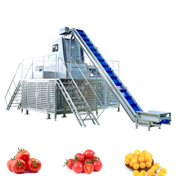 High Technology Automatic Steam Peeler for Potatoes, Cassava, and Sweet Potatoes