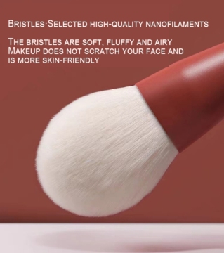 Mini Makeup Brush Set Singapore