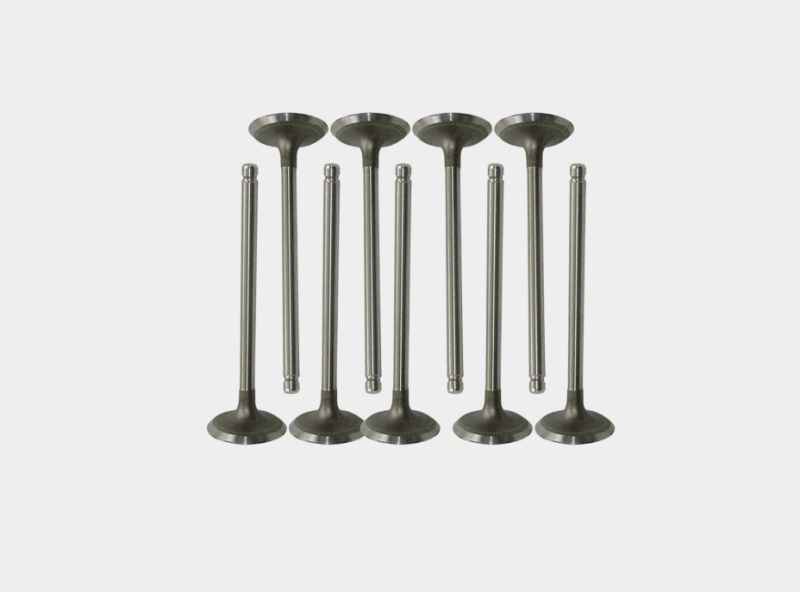 Exhaust Valve Replacement for Car
