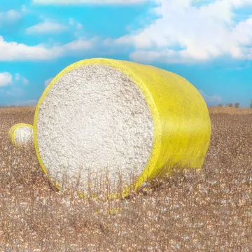 The Cotton Bale Wrap Film