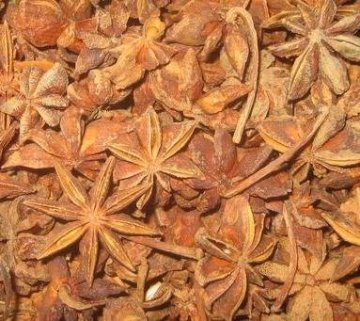 star aniseed