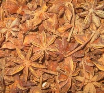 star aniseed