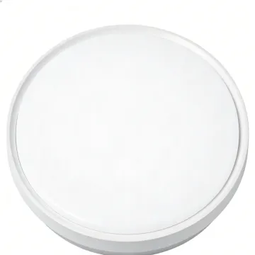 Dust proof ceiling lighting fixture