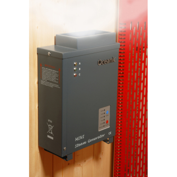Oceanic Mini Electric Sauna Aroma Steam Generator 500W/750W/1KW for Sale