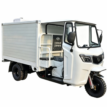 سه چرخه باری سنگین WJ300ZH-W9 250-300cc