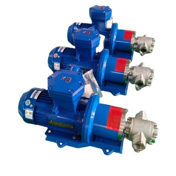 Leak-Free Chemical Raw Material Stainless Steel Gear Pump for Viscous Liquid Food Hygiene