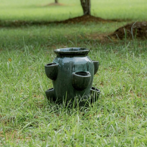 Big Bowl Green Glazed Burung Burung Mandi